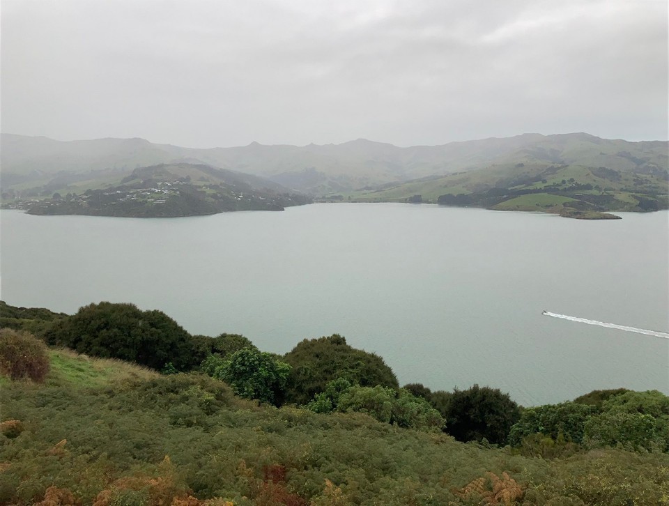 Neuseeland - Duvauchelle - 