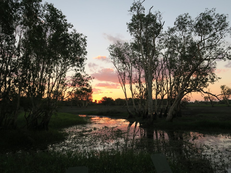 Australia - Kakadu - Moustique time!!!