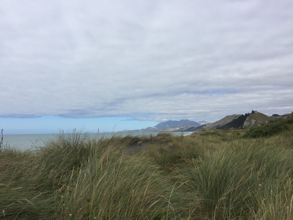 Neuseeland -  - Land der weißen Wolke auf dem Weg nach Kaiaoura