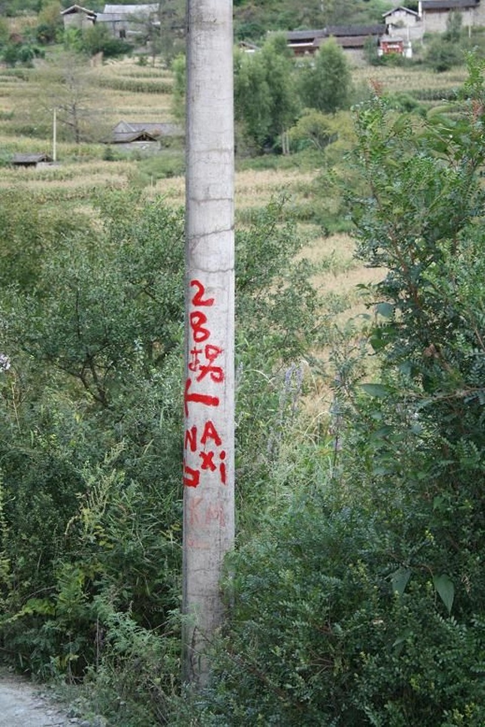 China - Yangtze River - 