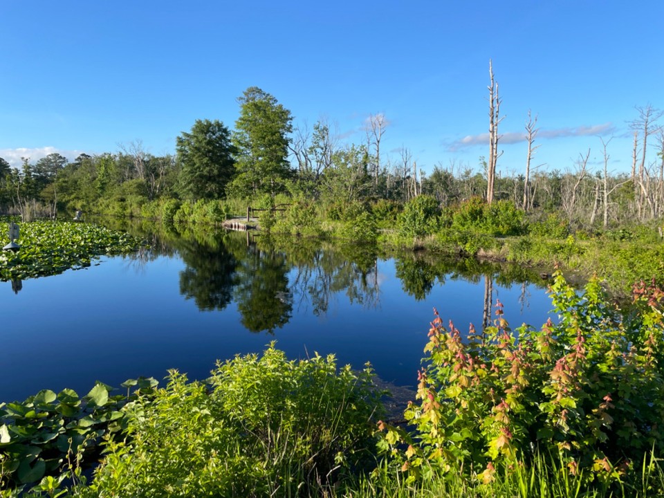 USA - Merchants Millpond - 