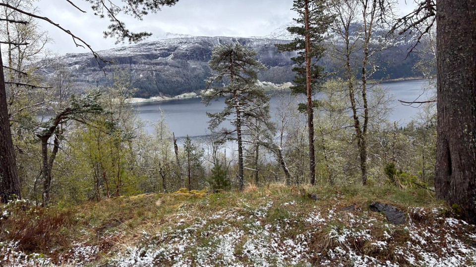 Norwegen - Briksdalsbre - 