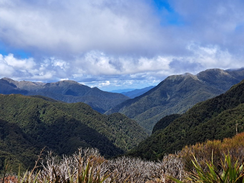 Neuseeland - Te Aroha trail PK - 