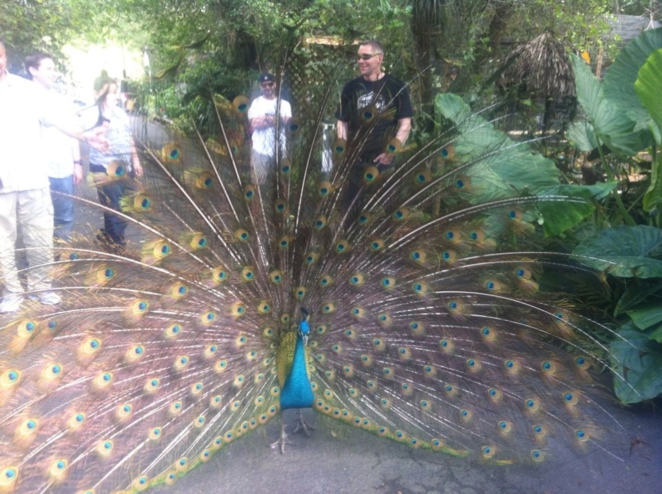 Egyesült Államok - Homestead - 