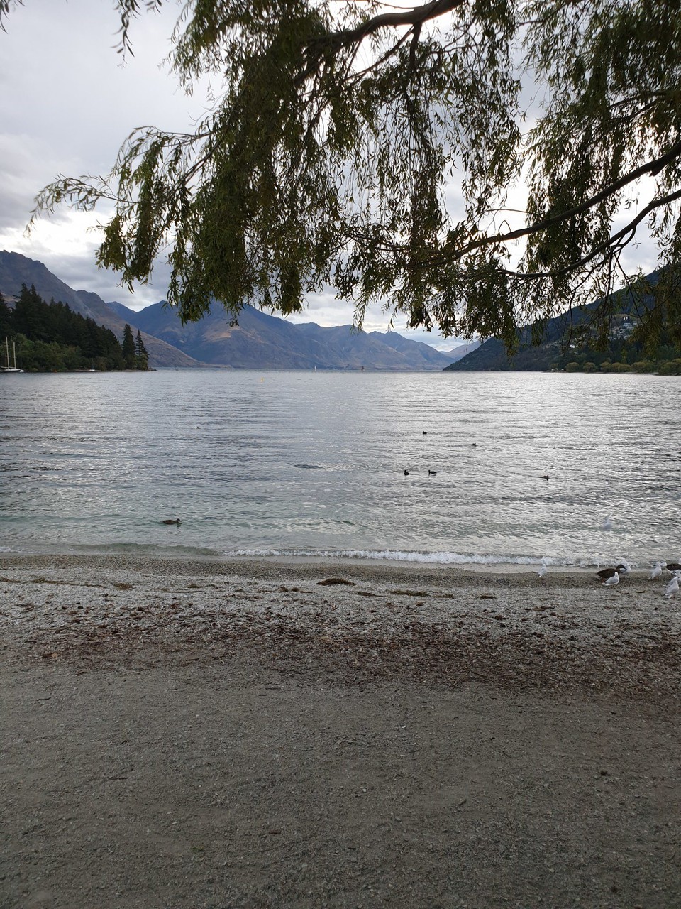 Neuseeland - Auckland - Blick auf den  See Wakatipu