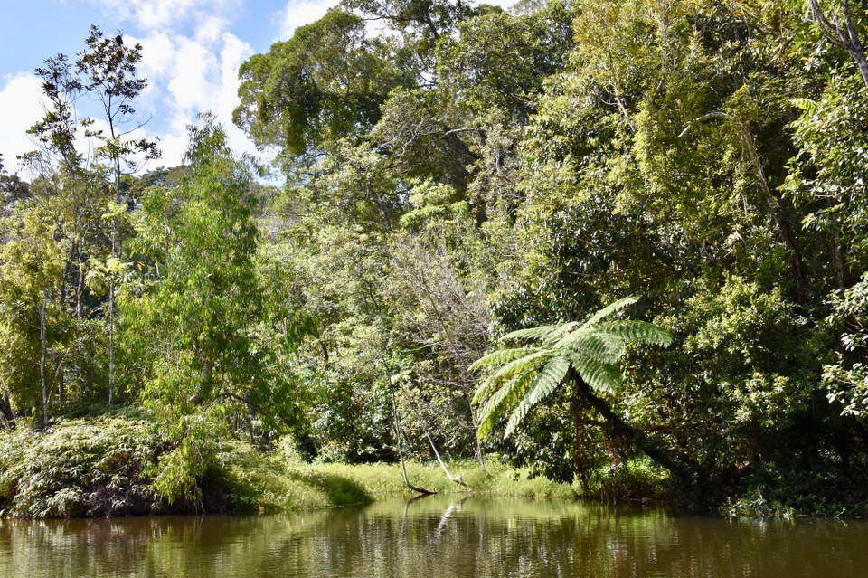 Australien - Kuranda - 