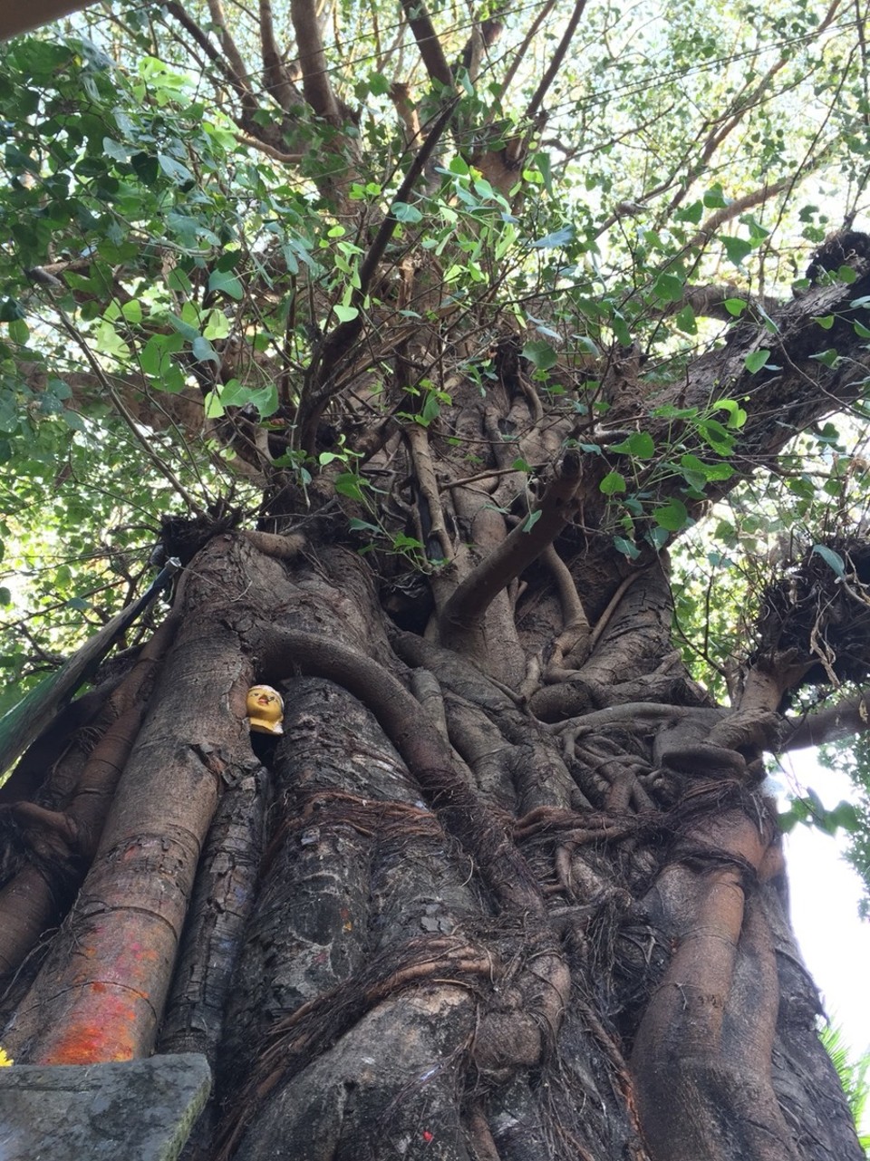 Indien - Gokarna - 