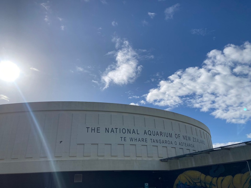 Neuseeland - Napier - 