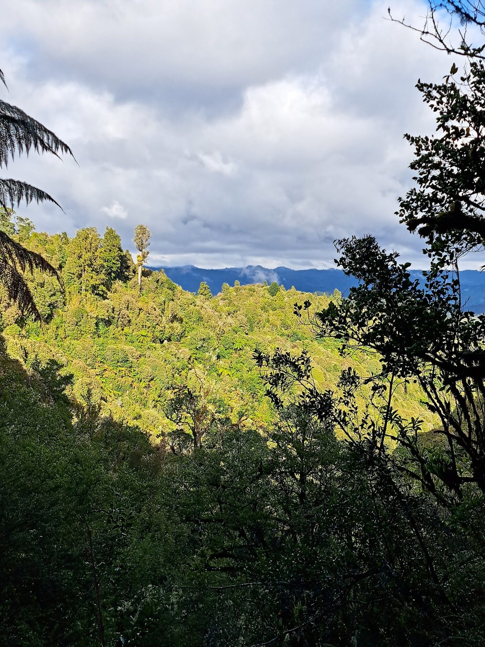 Neuseeland - unbekannt - 