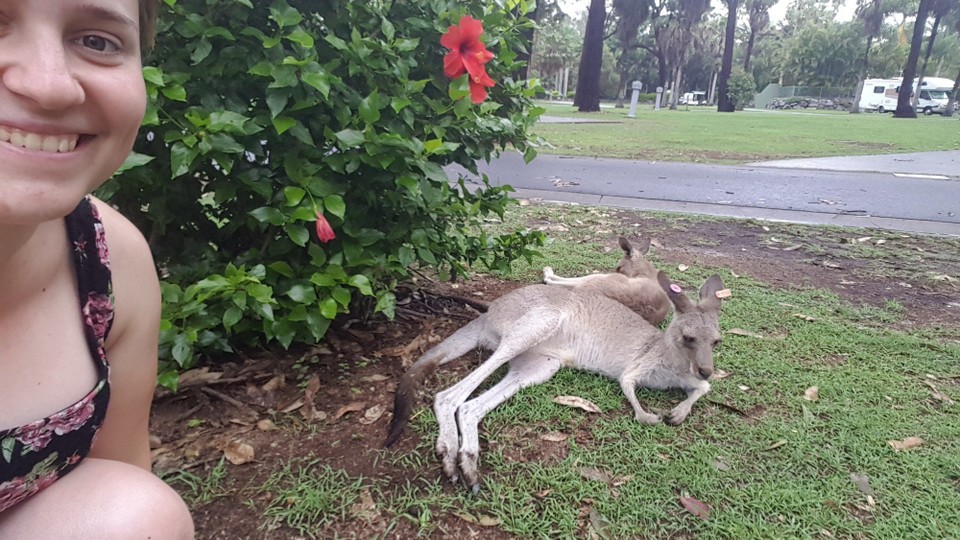 Australien - Arrawarra - 