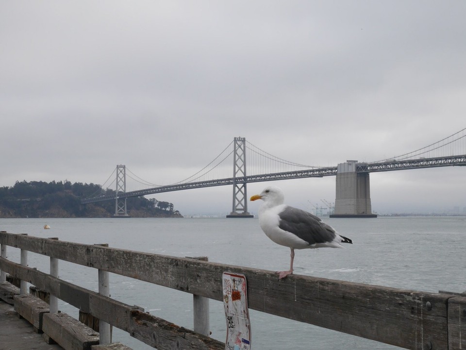 Verenigde Staten - San Francisco - Pier 1