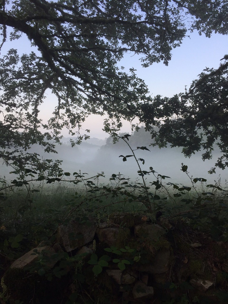 Spanien - Castroverde - Am Morgen
