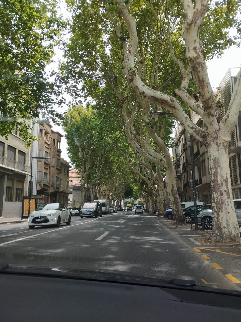 Frankreich - Perpignan - 