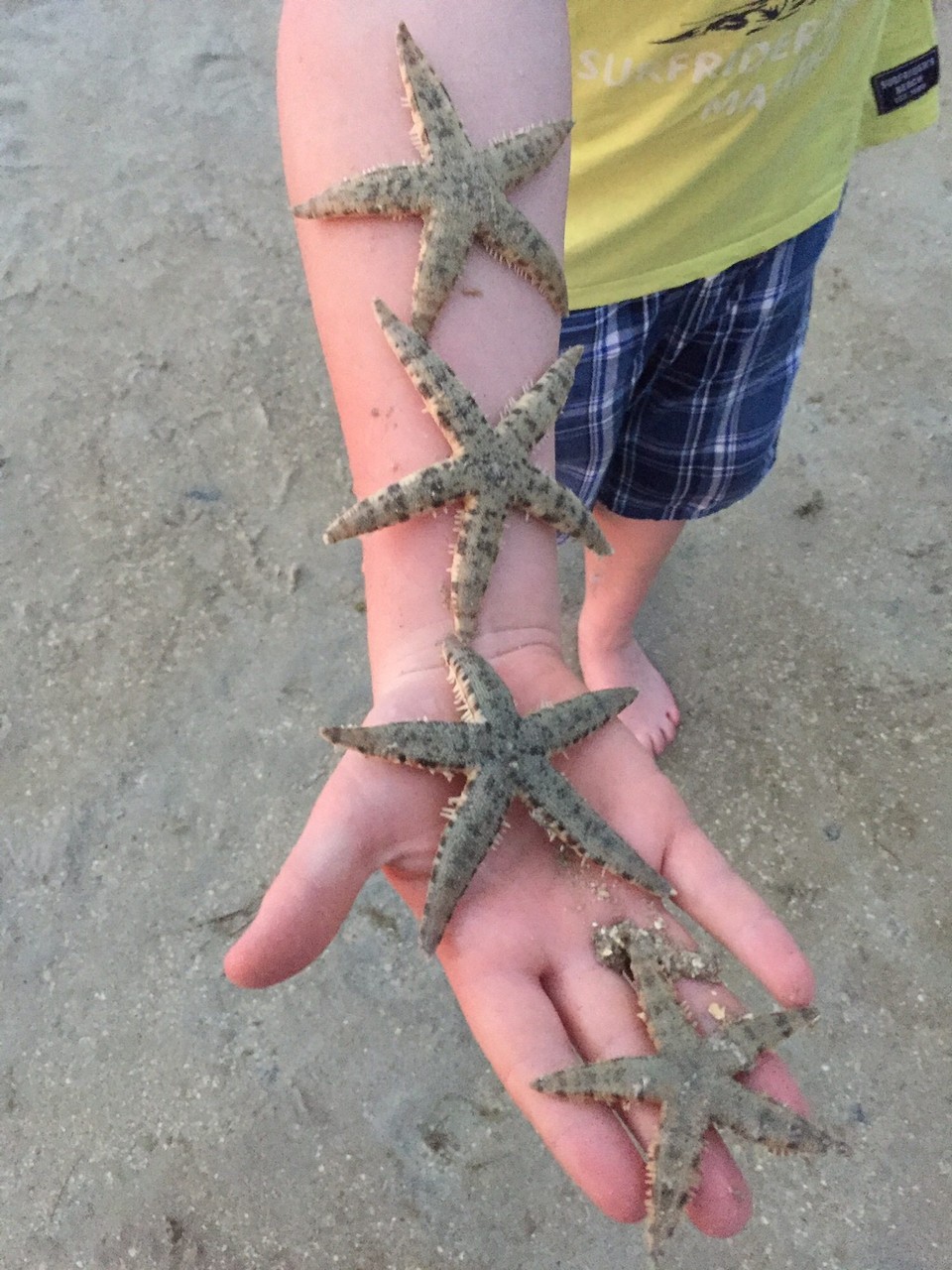 Philippinen - Daanbantayan - 