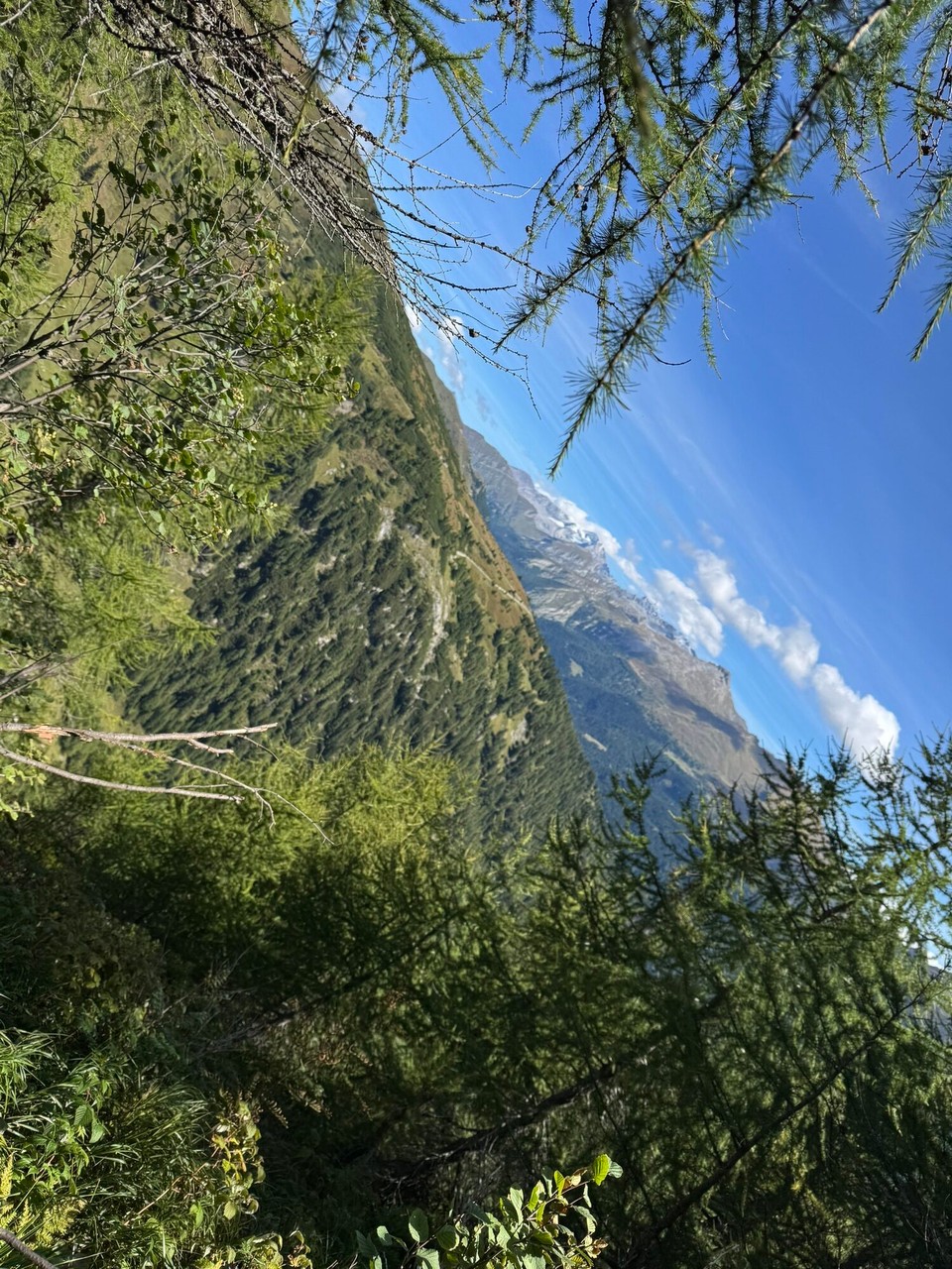 Italien - Brenner - 