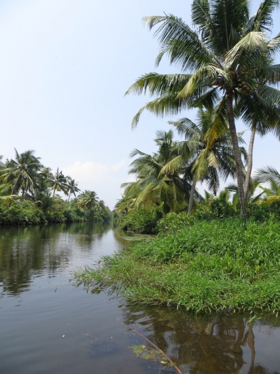 Indien - Cochin - 