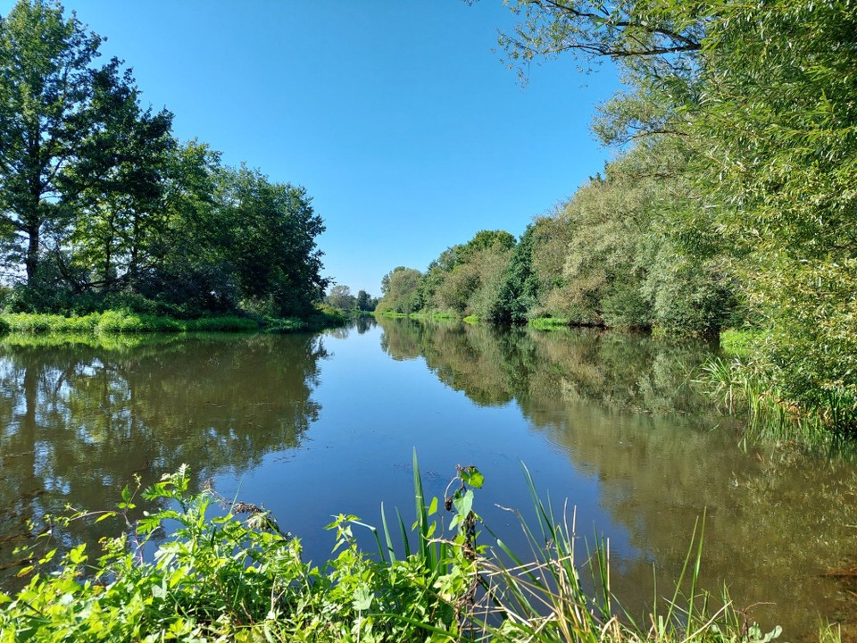 Deutschland - Wienhausen - An der Aller bei Celle