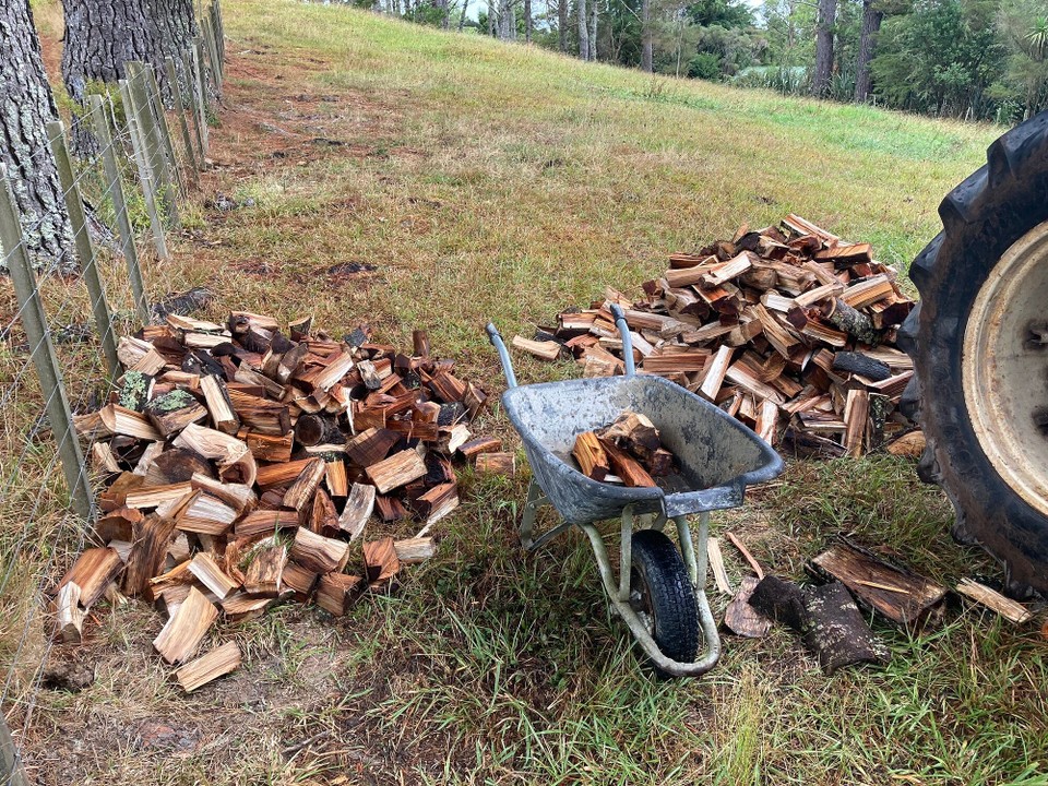 Neuseeland - Hikurangi - Am nächsten Tag kümmere ich mich um‘s Holz
