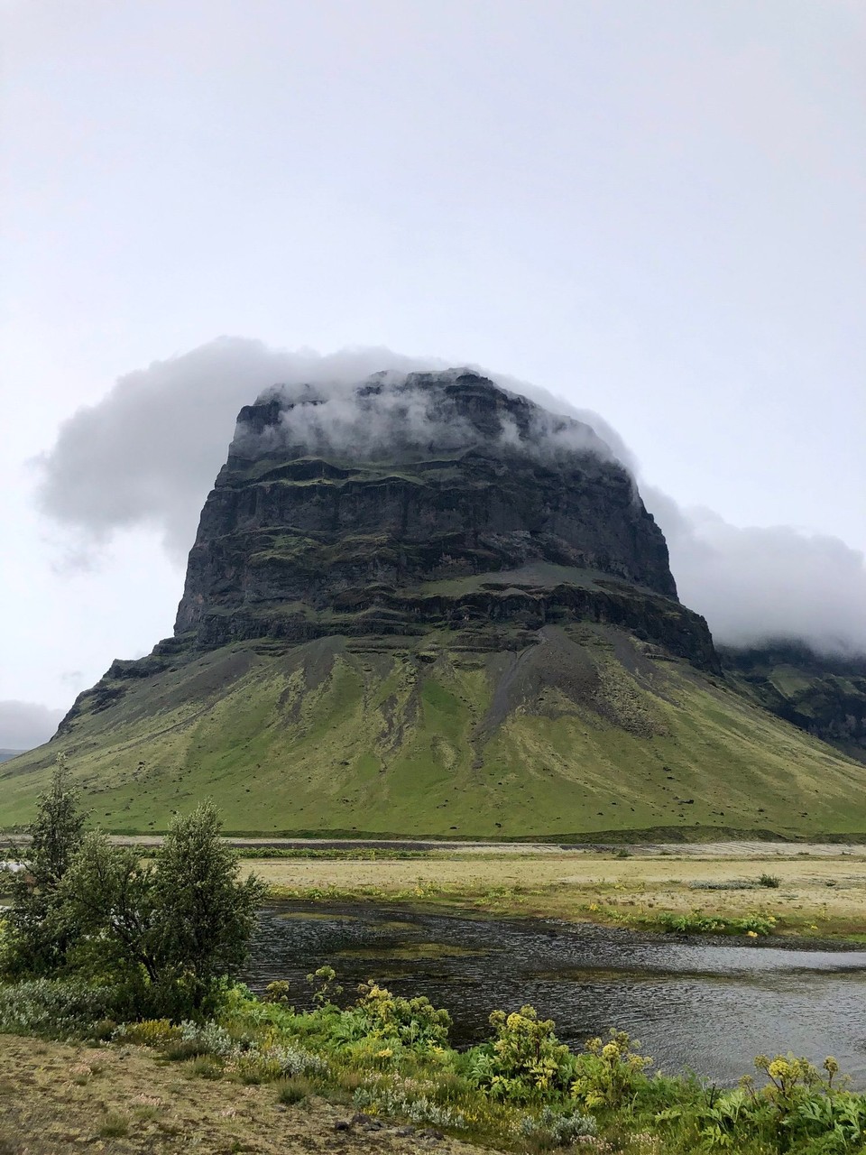 Island - Skaftárhreppur - Lómagnúpur von nah...