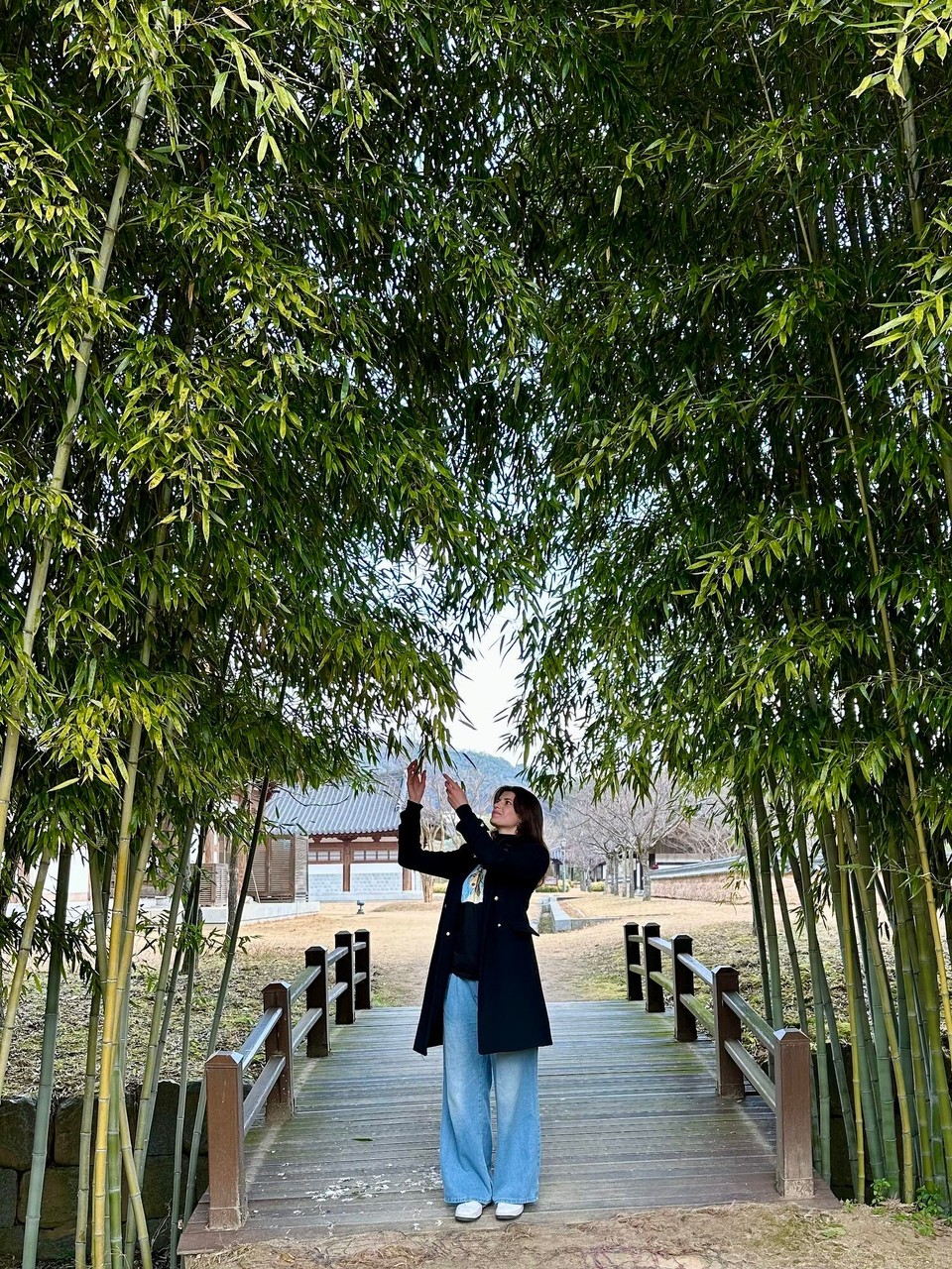 대한민국 -  - 