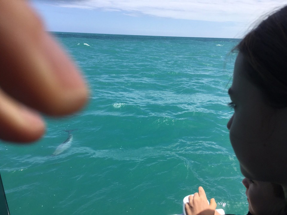 Neuseeland - Akaroa - 