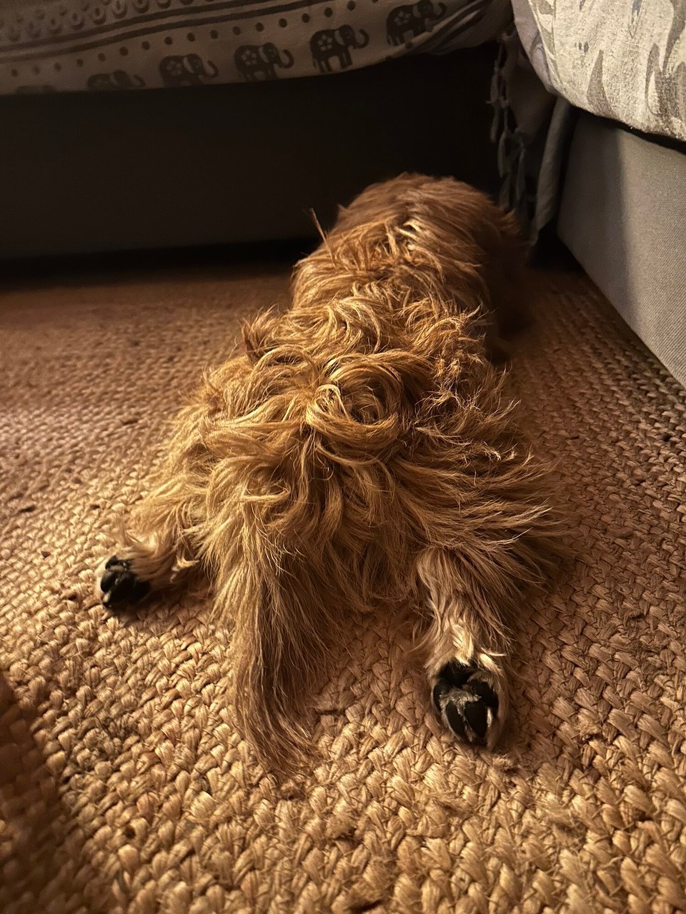 Portugal - Aljezur - 