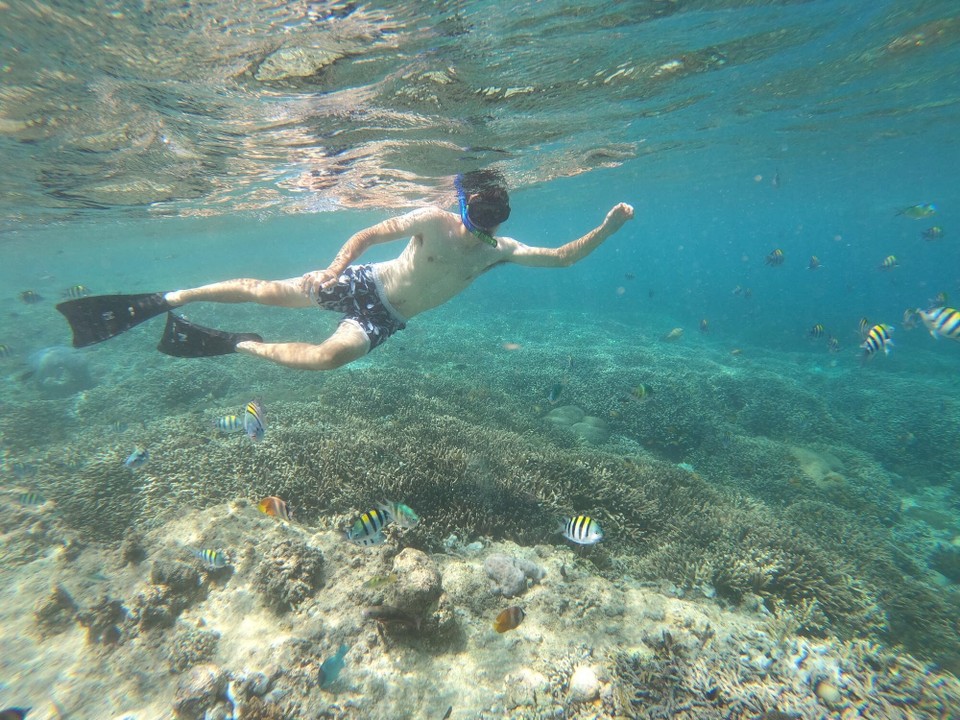 Indonesien - Kabupaten Lombok Utara - So viel verschideni Fisch...