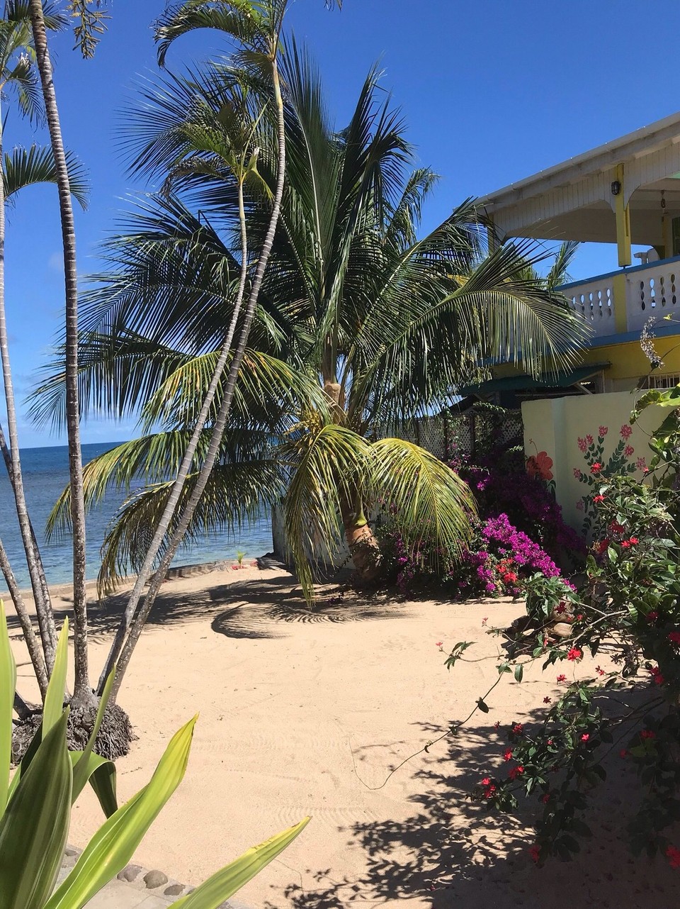 Dominica -  - 