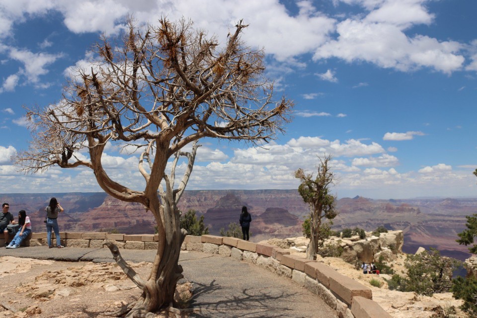 USA - Flagstaff - Grand Canyon South Rim