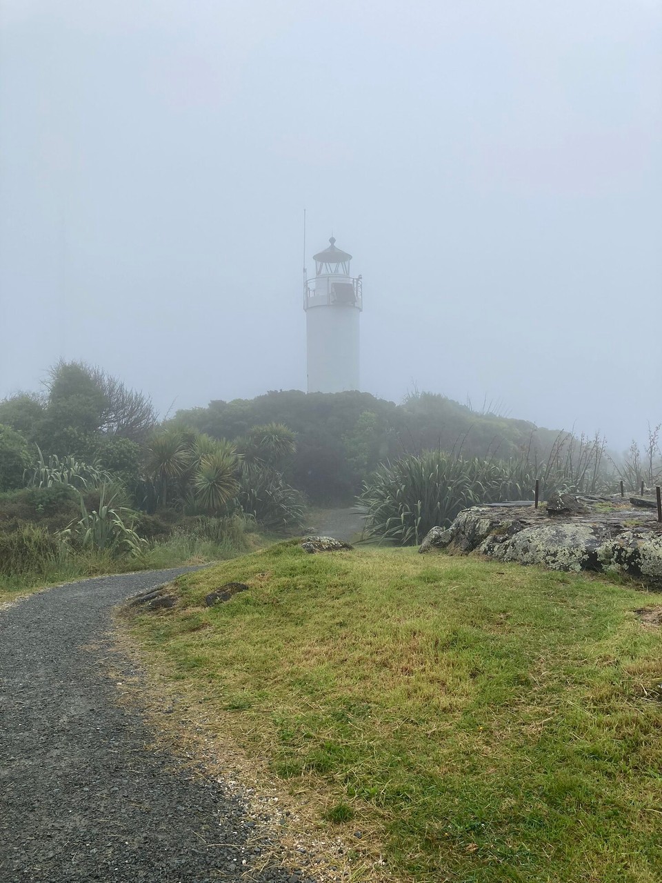 Neuseeland - Kap Foulwind - Das Wetter meint es mal wieder nicht besonders 🤷🏻‍♀️