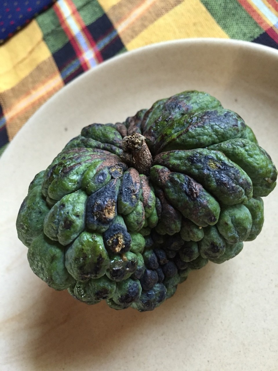 Indien - Guruvayoor-Manattala-Perakam-Edakkazhiyur - leckere frucht