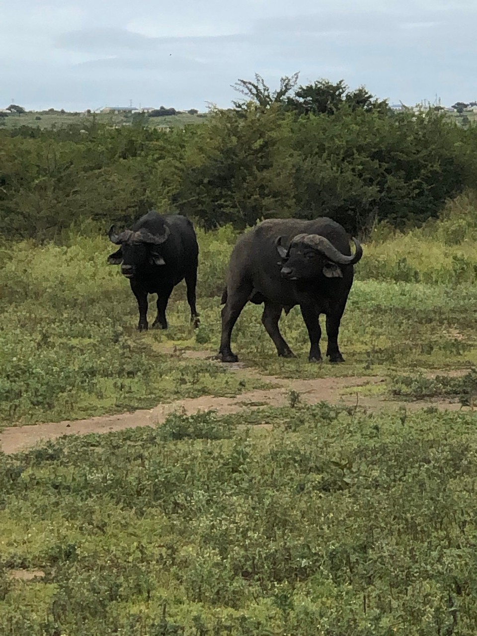 Südafrika - Durban - 
