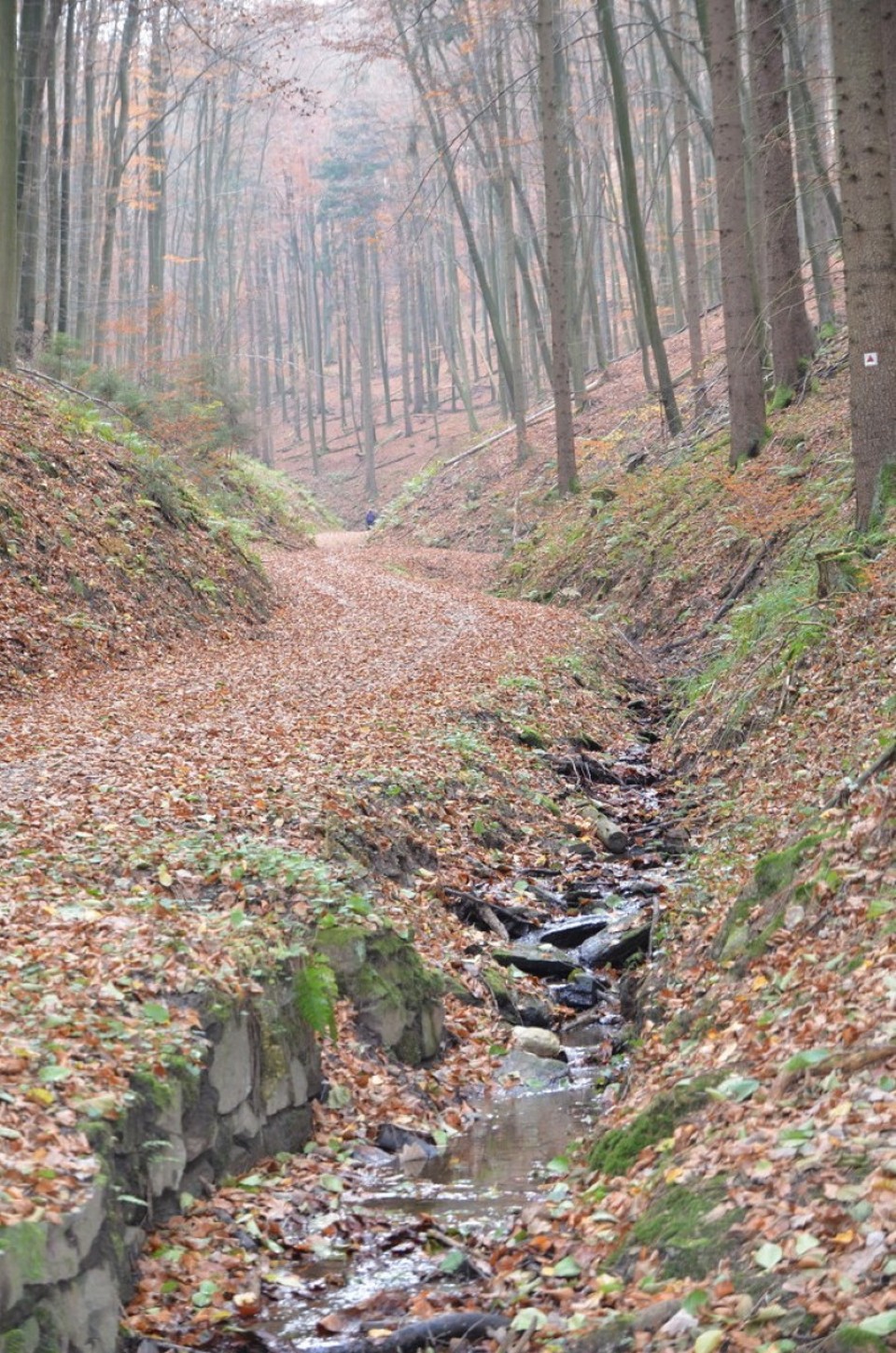 Deutschland - Johannesberg - 