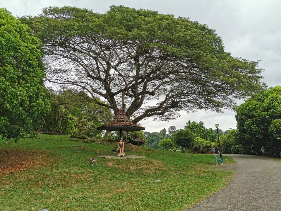 Singapur - Singapur - 