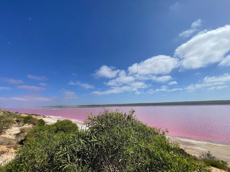 Australien - Yallabatharra - Heute sollte es an den nördlichsten Punkt unserer Reise gehen. Zunächst haben wir aber erstmal einen Stopp am Pink Lake gemacht.