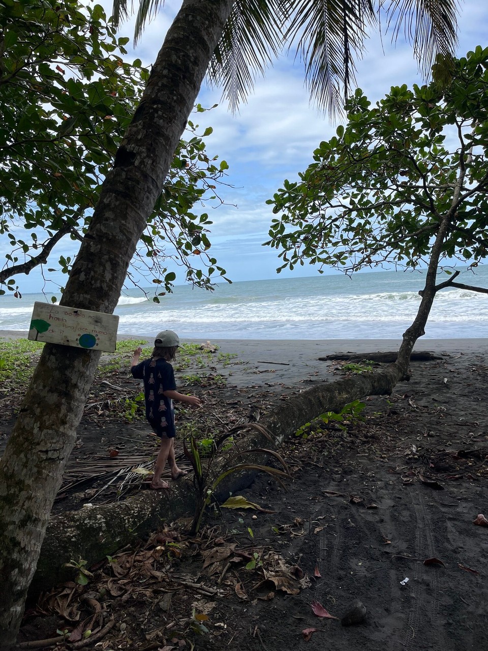 Costa Rica - Puerto Viejo de Talamanca - Klettern auf einem Mangobaum.