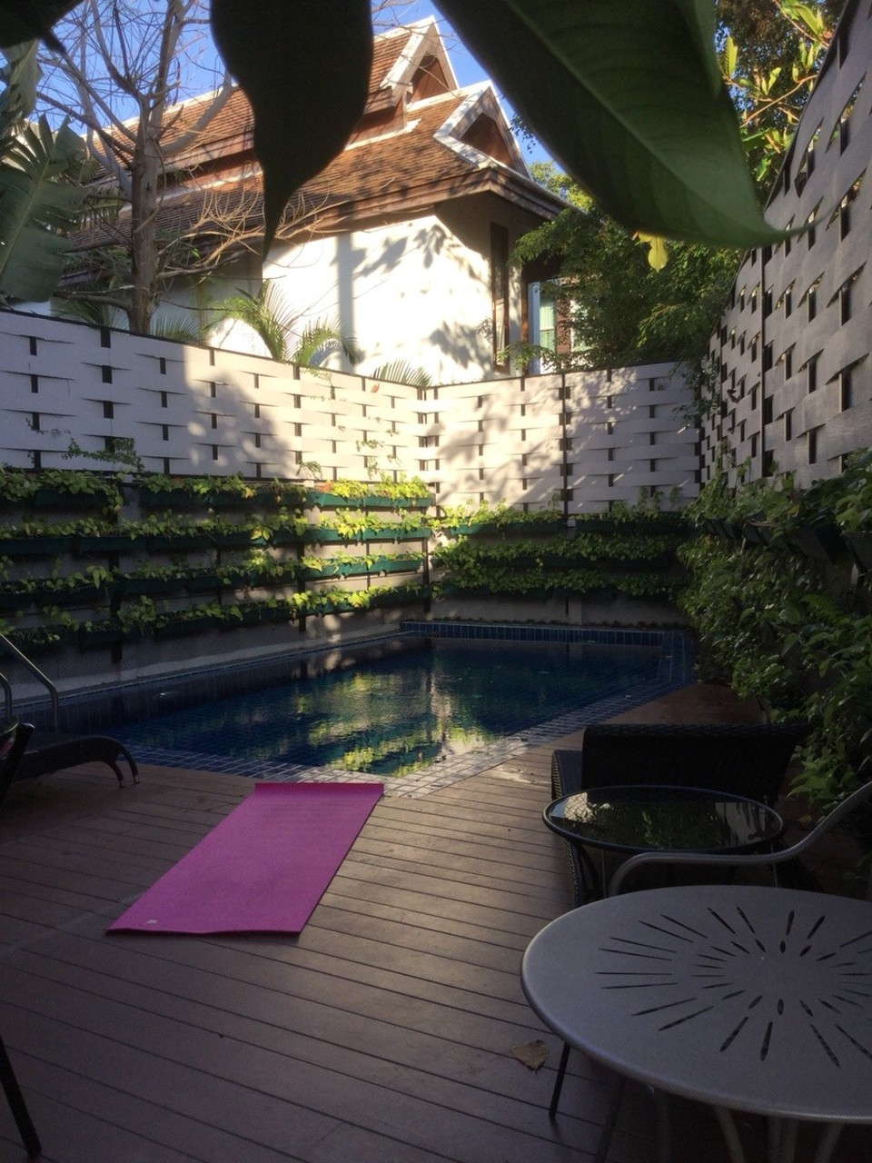 Thailand - Chiang Mai - Yoga poolside at the Wealth Boutique Hotel