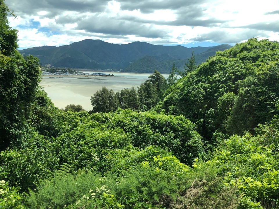 Neuseeland - Picton - 