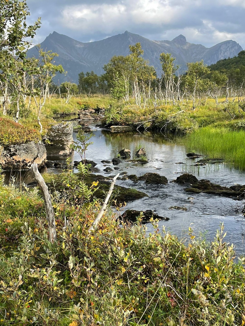 Norwegen - Krokelvdalen - 