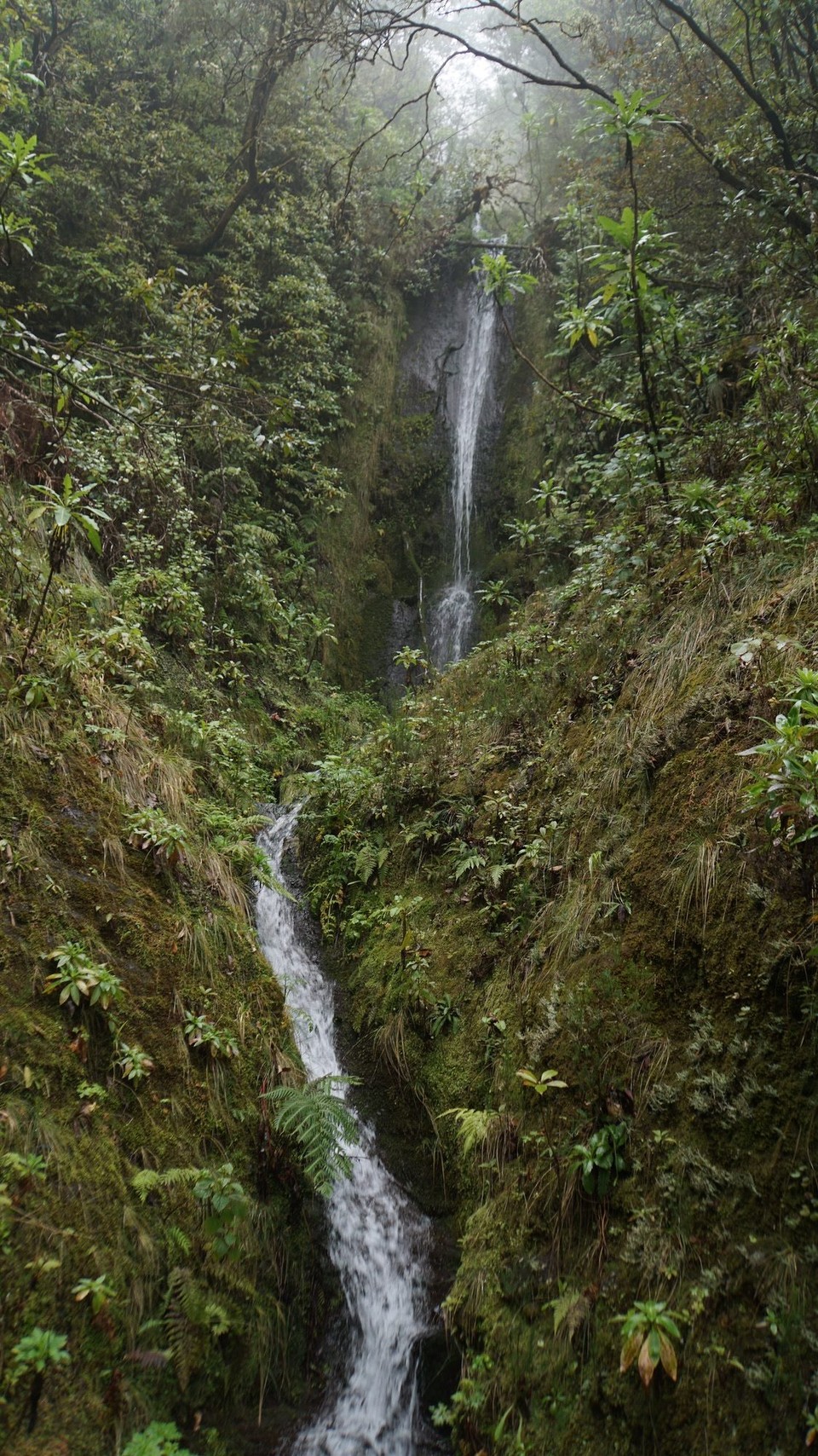 Portugal - Ribeira Brava - 