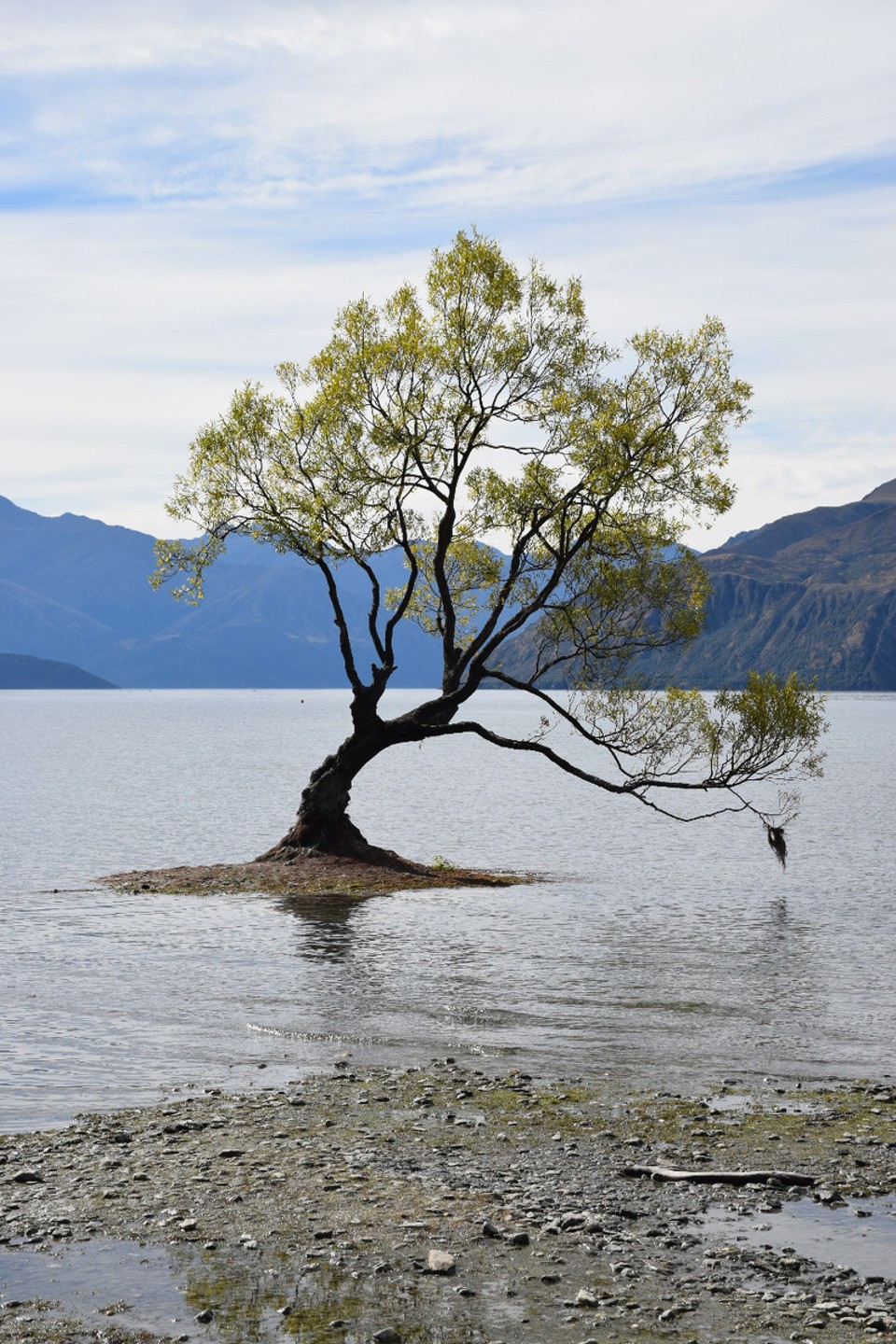 Neuseeland - Queenstown - 