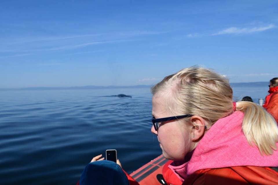Kanada - Tadoussac - 