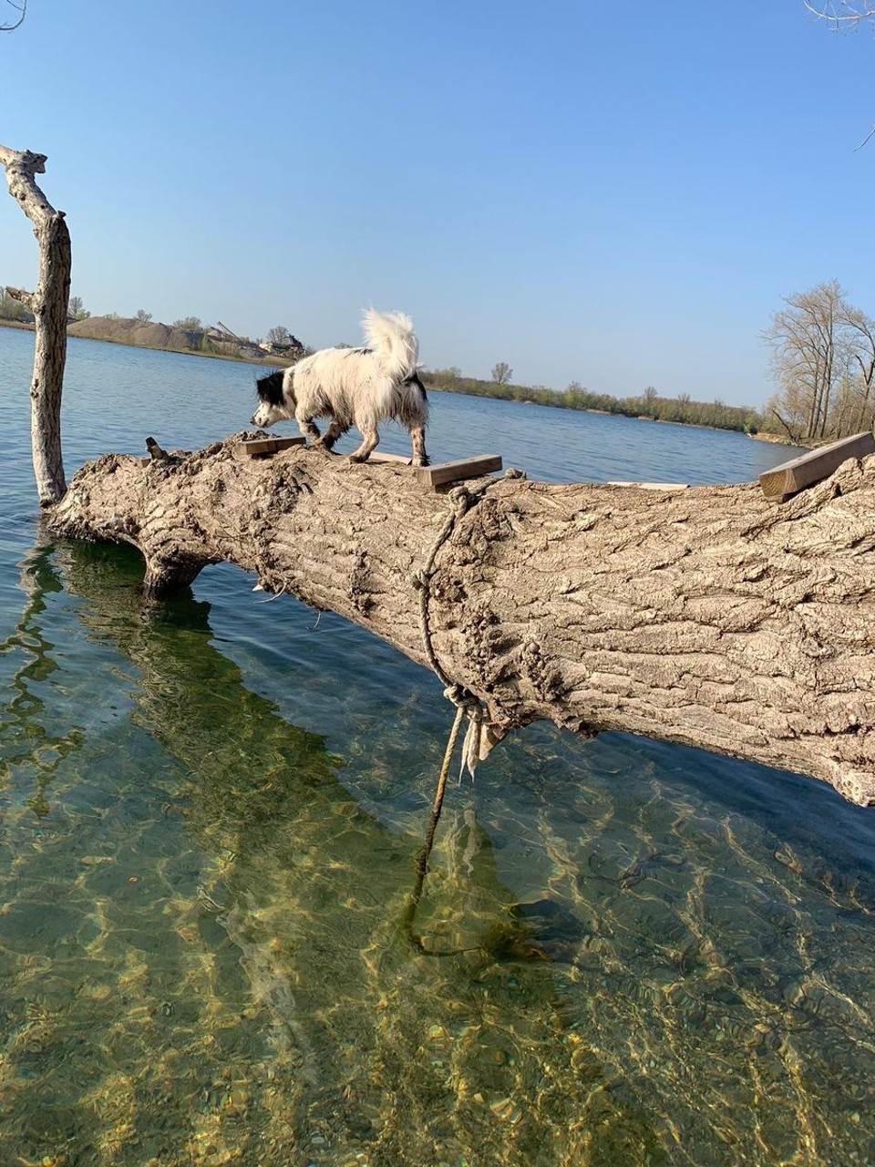 Deutschland - Ludwigshafen am Rhein - 