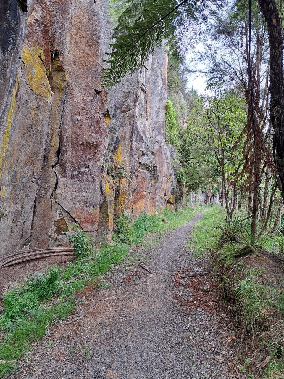 Neuseeland - Taumarunui - 