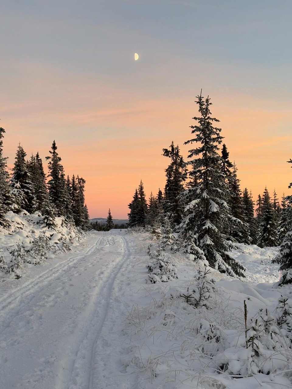 Norwegen - Sjusjøen - Dafür taucht der Mond auf 