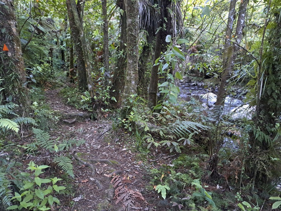 Neuseeland - Puketotara - 