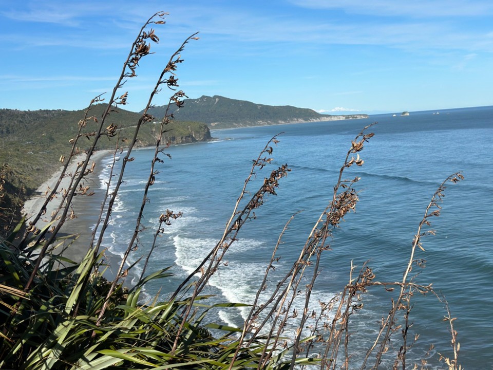 Neuseeland - Pancake Rocks - Fahrt entlang der Westküste Richtung Norden 