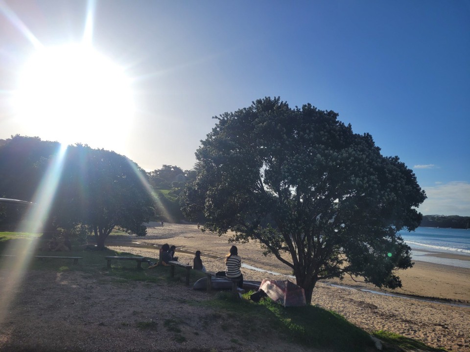 Neuseeland - Waiheke Island - 