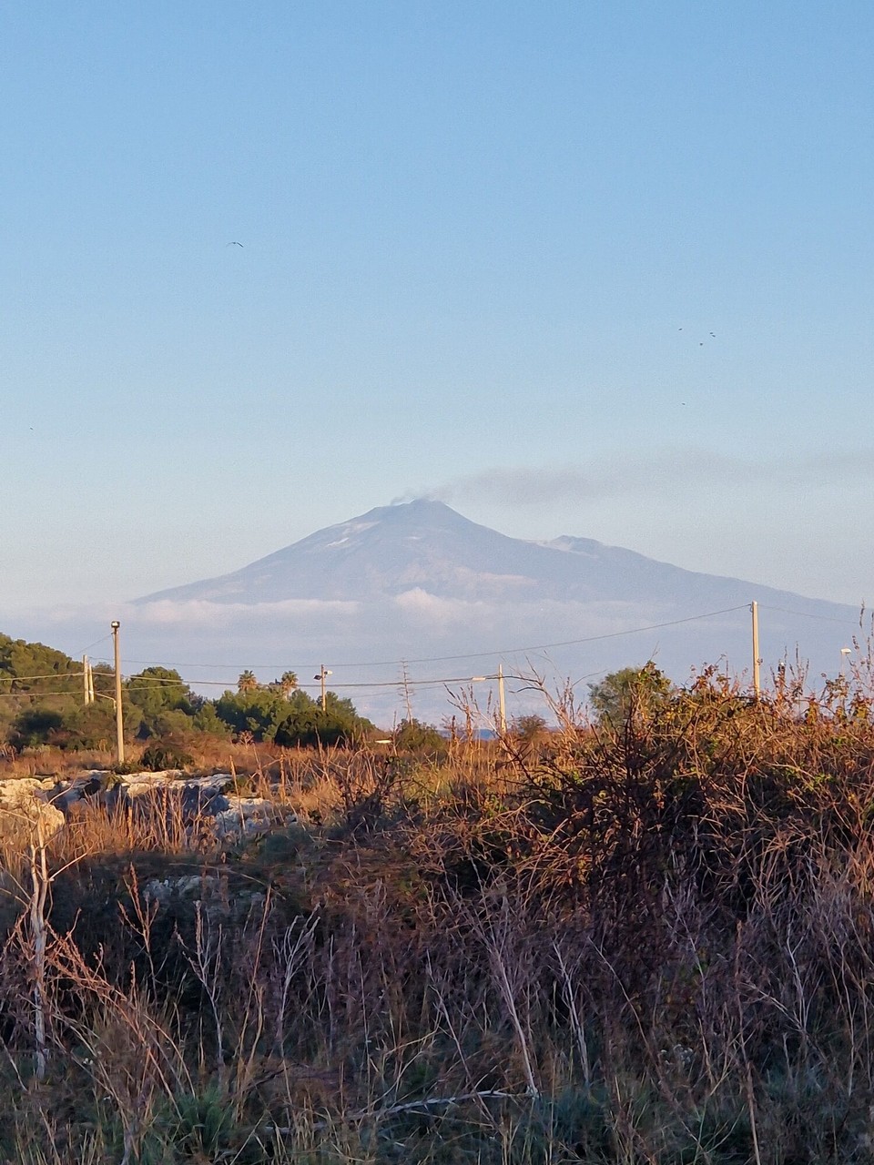 Italien - Zafferana Etnea - morgendlicher Blick aus dem Schlafzimmerfenster 