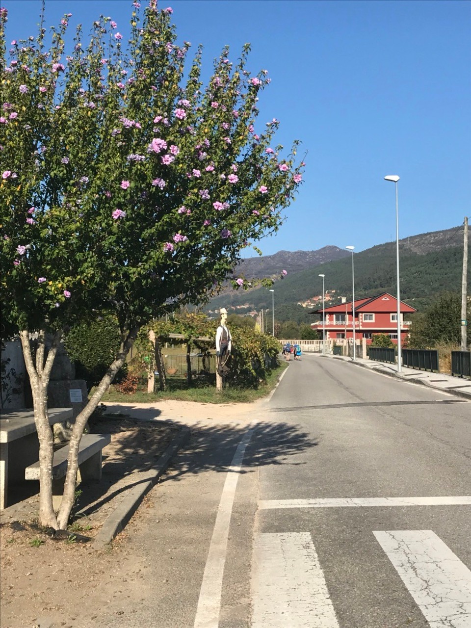  - Spanien, Mos - Am Wegesrand